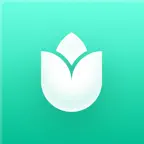 PlantIn Vision iOS Icon