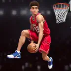 Real Basketball Hoops - 2026 Icon
