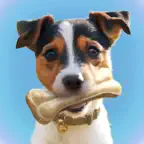 Laser Pointer － Games for Dogs iOS Icon