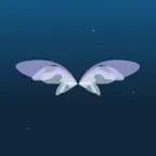 Divine Guidance icon