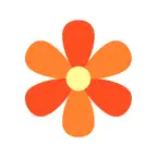 Second Glance Photo iOS Icon