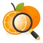 嘌呤管家-营养食谱饮食管理，别痛风 iOS Icon