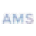 AMS SECURITY iOS Icon