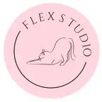 Flex Studio iOS Icon