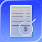 Work Expense Icon
