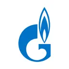 ГЭТ ЛКК 2.0 icon
