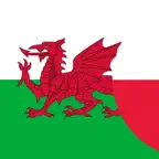Słownik Walijski-Polski iOS Icon