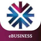 QNB eBUSINESS iOS Icon