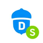 DONGRI S (どんぐり) icon