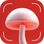 Mushroom Identifier: Foraging icon