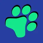 초등영어 필수 800+단어장-주키퍼 iOS Icon