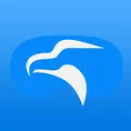 Falcon Vue iOS Icon