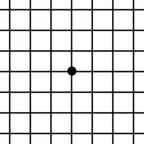 Amsler Grid: AMD & Retina App iOS Icon