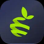 Lemonn Trade & Invest in Stock icon