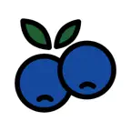 Huckleberry Social iOS Icon