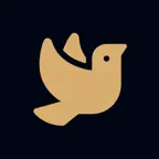 3-16 iOS Icon