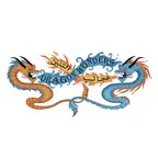 عجائب التنين DRAGON WONDERS iOS Icon