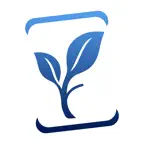 Ya.Flashcards iOS Icon