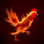 Chicken App: Files Transfer iOS Icon