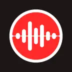 Dictaphone - Voice Recorder . iOS Icon