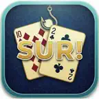 Pasur Online - Play & Score Icon
