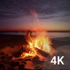 Cozy Fire: Bonfire Wallpapers Icon