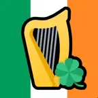 Irish Tax Calculator Pro iOS Icon