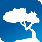 AV Securities Trading iOS Icon