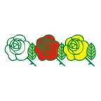 Üçgül ML iOS Icon