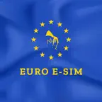 Euro E-SIM iOS Icon