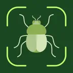 Bug Identifier: Insect, Spider iOS Icon