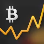 Paybis BTC,ETH Crypto Tracker iOS Icon