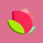 玫瑰小說 iOS Icon