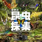 世界の昆虫採集 Icon
