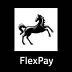 Black Horse FlexPay Mobile App iOS Icon