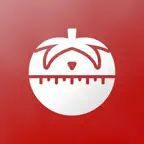 Pomodoro Spatial Timer iOS Icon