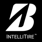 Intellitire Install iOS Icon