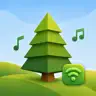 Pine Player Remote