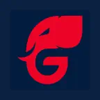Georgia GOP iOS Icon