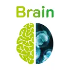 Brain Ripasso iOS Icon