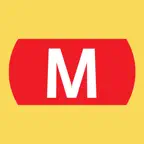 Lyon Subway Map Icon