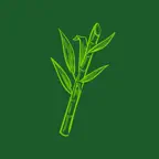 Cañaveral iOS Icon
