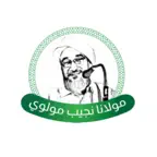 Moulana iOS Icon