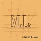 ML Conseils iOS Icon
