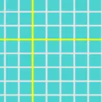 Graph Grid iOS Icon