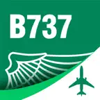 B737 Type Rating Flashcards iOS Icon