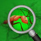 专注理解 iOS Icon