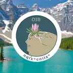 Osoyoos Okanagan QR Reader iOS Icon