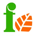 Freshify Market Icon