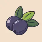 Inkberry Wedding Planner iOS Icon